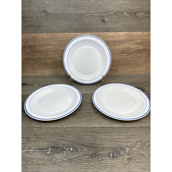 Arcopal France Restaurant Extra Resistant Blue Stripe 9” Luncheon Plates ~3 Pc - Picture 1 of 7